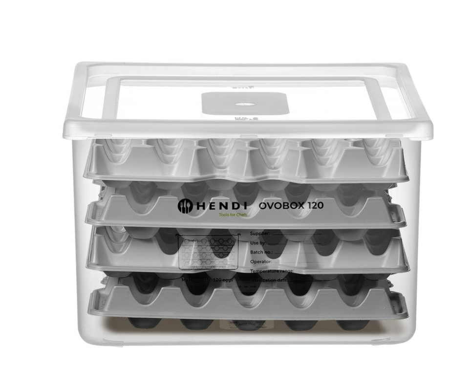 Pojemnik na jajka, GN 2/3 - Hendi